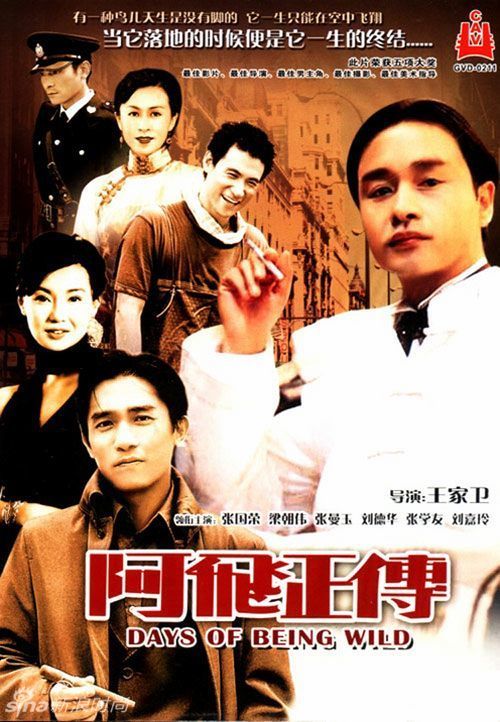 衡阳市不动产证查询网